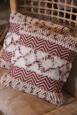Cushion
