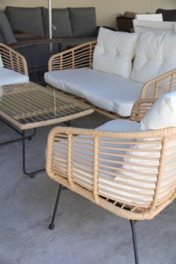4 Piece rattan set