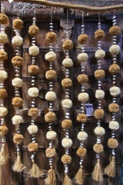 Pom-Pom