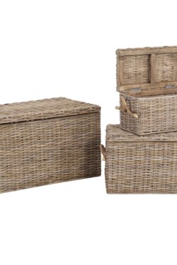 Trunk set of 3