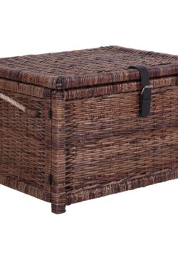 TRUNK WITH LINER