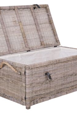 TRUNK WITH LINER