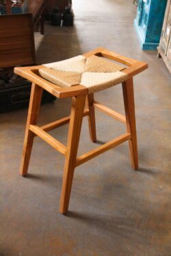 ENDO COUNTERSTOOL